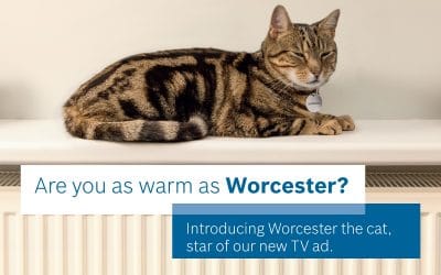 Purfectly as warm as Worcester…the cat