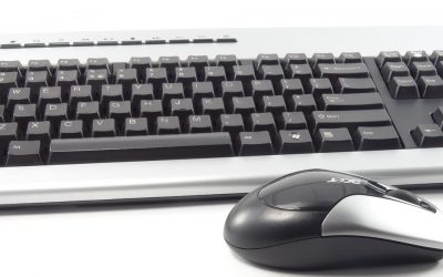 WCG launch Train 4 Success project!