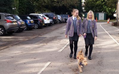 Holy Trinity’s School Dog Makes Big Impact