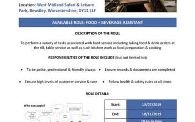 Supported Pathway to a different type of job