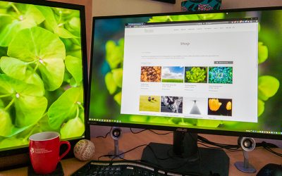 Herefordshire photographer opens online shop for exporting