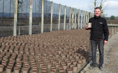 Wyevale Nurseries phases in recyclable plant pots