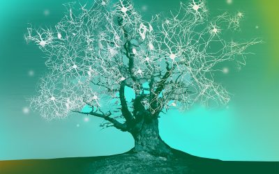 Mindfulness and Compassion in Business