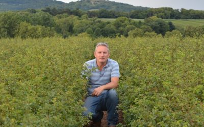 Wyevale Nurseries passes Woodland Trust’s UKSG renewal