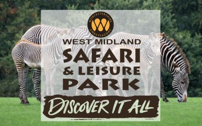 Worcestershire Ambassadors and West Midland Safari Park support families fun day out