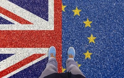 SME Brexit Support Fund now open for applications