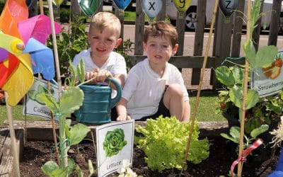Kidderminster Nursery cultivates fun