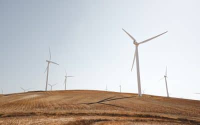 Getting to net zero – what we can do