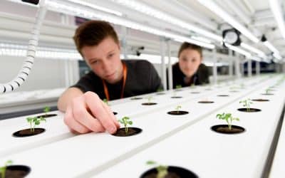 Agri-Tech Centre offers paid work placements to students