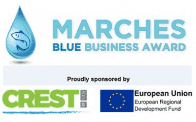 Calling all businesses working wonders with water