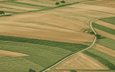 Rural businesses to benefit from new government grant