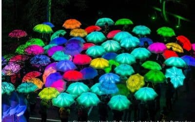 Worcester city centre set to be illuminated