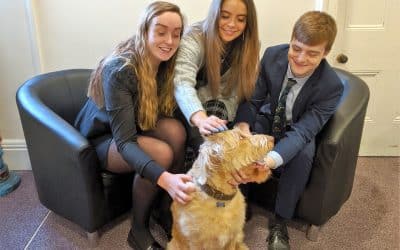 School dog the face of Kidderminster school governor campaign