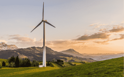 Low Carbon Opportunities grants awarded to local Worcestershire businesses