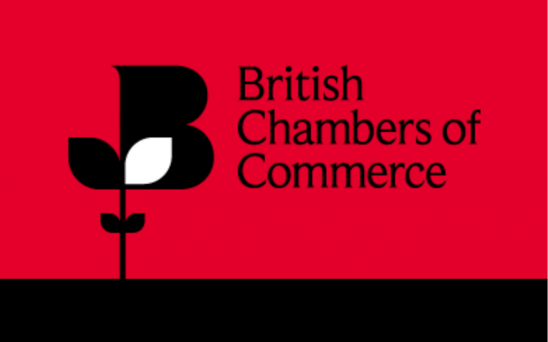 How is the Chamber representing you?