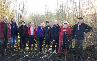 Westons Cider show support for local wildlife