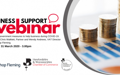 Financial government measures to help business during COVID-19