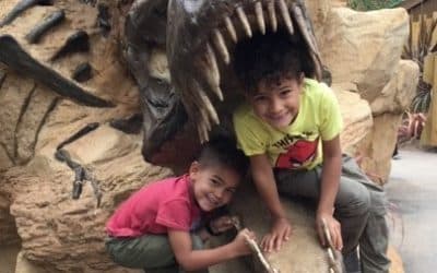 Safari smiles guaranteed on Ambassadors’ summer fun day