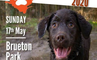 Solihull Woof Run 2020