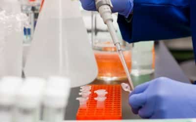 Businesses urged to check insurance policies as Government declare coronavirus a notifiable disease