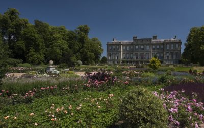 College group appeals for help to create its biggest ever show garden