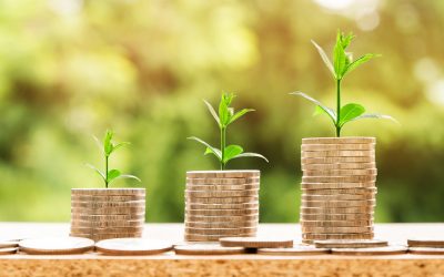 Innovation in Professional and Financial Services