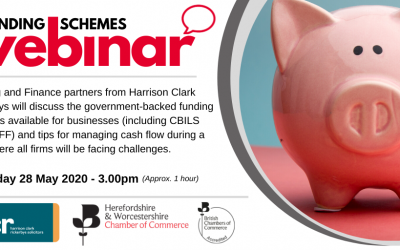 Webinar: Confused about CBILS and CCFF, and need to protect your cash flow?