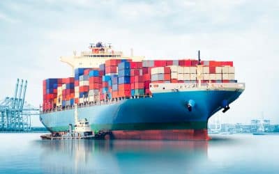 Ongoing support for businesses trading internationally