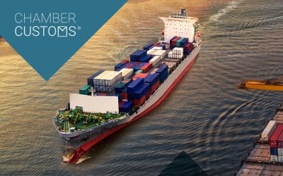 No more Transition at the UK Border