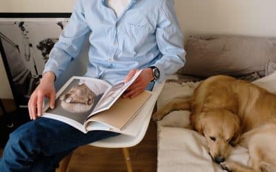 Wednesday 10 June is the last day you can furlough employees