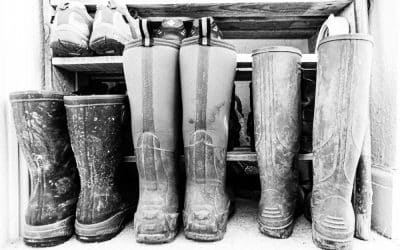 Photos from Inside a Lockdown – preserved for posterity