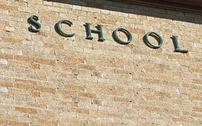 Social enterprise Insurance