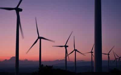Have your say on how Worcester tackles climate emergency