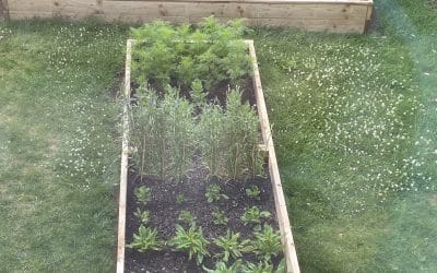 Introducing Bloomery