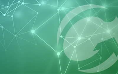 Spotlight on sustainability and R&D