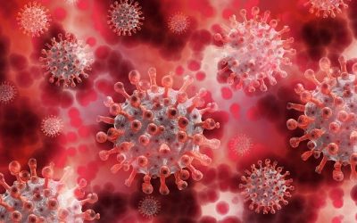 NHS Test & Trace service in the workplace update