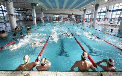 Next phase of reopening