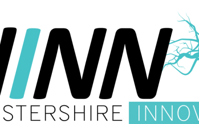 Using Innovation and Growth to advance your business with WINN