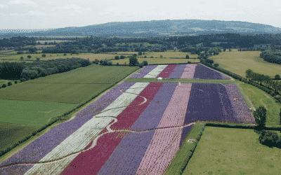 Worcester Video Production company up for prestigious RTS Award