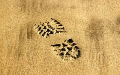 Worcestershire Ambassadors to ‘Walk the Walk’