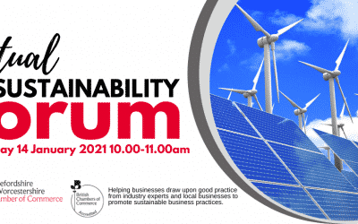 Virtual Sustainability Forum – Thursday 14 January 2021