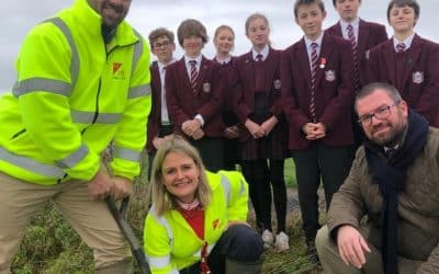 County Firm Puts Down Roots Through Tree Planting Project