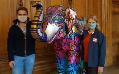 County Gritting Firm Pledges Support For Worcester’s Summer Big Parade