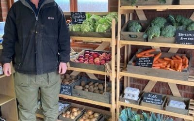 Powick horticulture therapy centre launches food service for local people