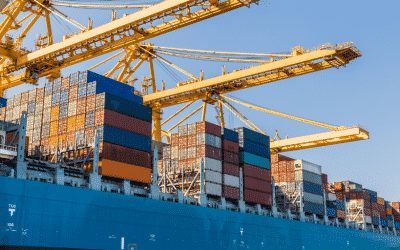 Trading from 2021 – support for businesses