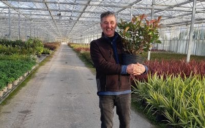 Wyevale Nurseries receives ISO for peat reduction plans to go below 50% in 2021