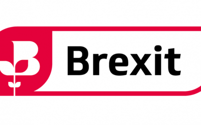 BCC Brexit survey: Half of UK exporters report difficulties adapting to changes relating to EU-UK goods trade