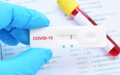Employers with 50 or more staff able to sign up to rapid testing to protect workforce