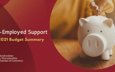 BUDGET: Support for the self-employed