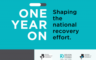 One Year On: Shaping the national recovery effort.